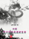 大明:我正德才是道君皇帝!